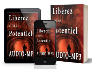 liberez votre potentiel livre audio mp3 ray vincet