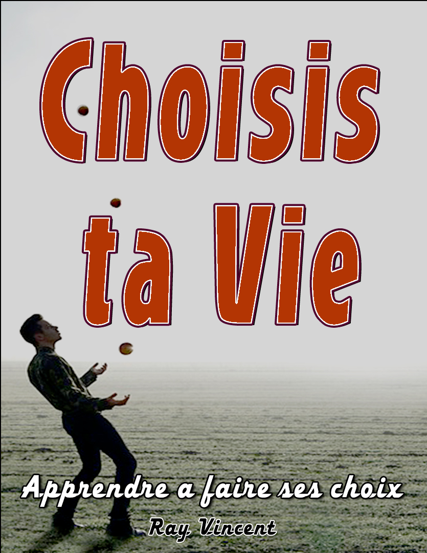 Ebook PDF Choisis ta Vie Ray Vincent